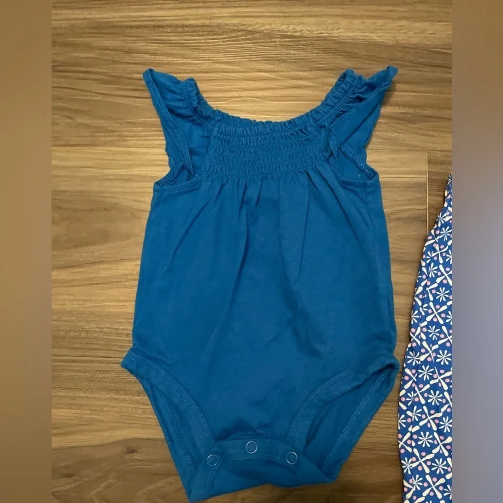 Carter's Blue and Pink Floral Baby Girl Outfit size 3M
